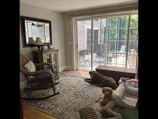 2nd living room/ dogs room.