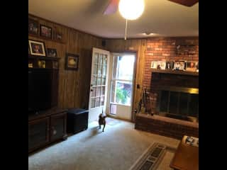 Susie coming in the doggie door! Fireplace on right. TV on left. Couch is out of the picture to the far right after the table that the top lifts up for tv snacking.