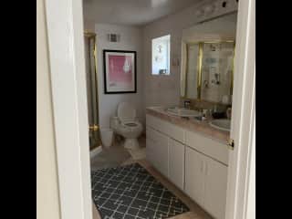 Lower level bathroom