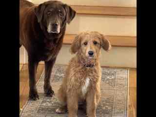 Paisley and Winnie