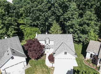 Aerial view, backyard full of trees