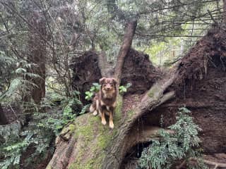 Eddie likes to hike and climb