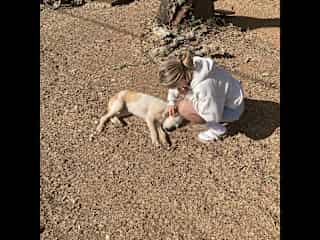 Same vacation, host familys dog, she was sick at that time and really enjoyed being pet