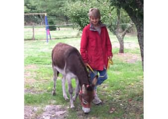 Donkey walking in France, near Baudignan September 2015