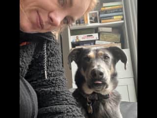 Doggie sitting Oatmeal on the coldest days of the year in Brooklyn - Feb 23