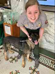 Giving some attention to the K9 dog Ceasar