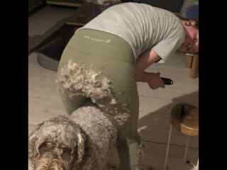 I have some experience in toilettage. It is a service I can do while pet-sitting.