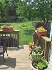 Deck and backyard