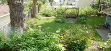 Back yard from bedroom window (with greenroof in foreground)