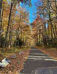 Smokey Mountain NP