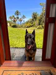 Indee loves to join me while using the outdoor restrooms.  She also loves to join me in the outdoor shower located adjacent to the aquaponics.