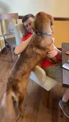 Jeremy getting love from a sweet puppy, Cash, who we cared for in Mt. Vernon, Washington.