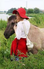 In Lielupe floodplains with horse to restore meadows.