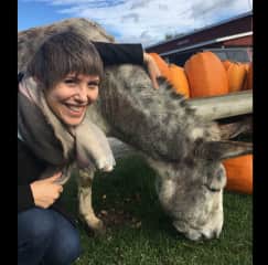 Hanging out with a pet donkey in Vermont