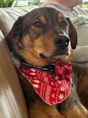 Handsome boy