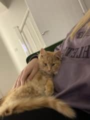 Charlie all snuggled up in Harriet's arms