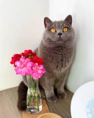 “Me? Pretty? Oh really? I hadn’t noticed.”