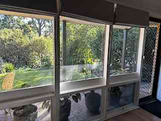 View out living room windows