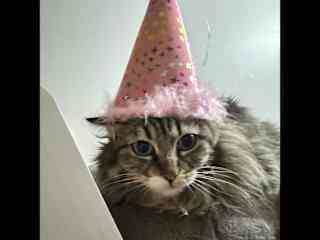 Rupert’s #2 Birthday