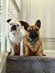 The two troublemakers 
