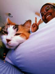This is Luna! She’s a cat I took care of in Virginia! She’s a great exercise buddy!