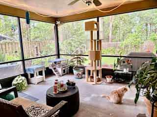 It’s so relaxing to sit out here and watch the wide variety of birds! The kitties love to watch the birds and the squirrels.