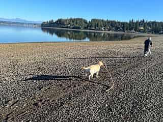 Walking the sand spit with Sunny in Vaughn, Washington.