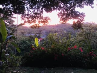 View from front porch - recently added, is a deck extending out, for lovely views of the river.