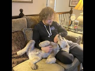 Falling in love with Sandy the cocker spaniel!