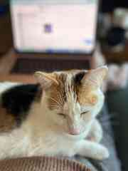 Her being cuddly