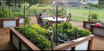 Lower garden.