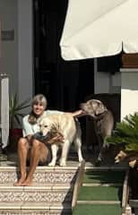 Sommer 2023 auf Mallorca, 4 Wochen haben wir mit den beiden Hunden Alfred und Edgar verbracht