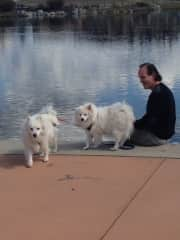 Our very sweet, lovable, and dearly missed dogs, Jenny and Casper. We loved them so much but sadly they went to doggy heaven almost 2 years ago.