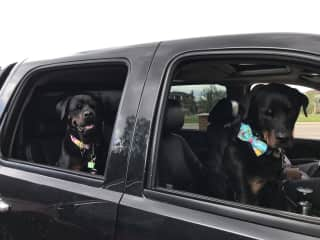 Truck rides are a favourite!