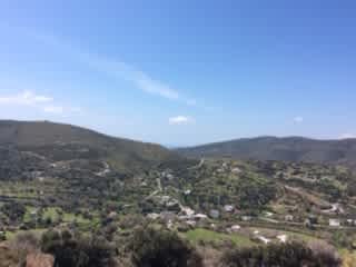 View from Kitchen Terrace