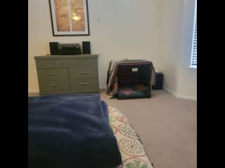 Rosie's Crate (in master bedroom)