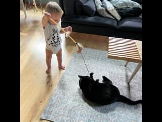 Mathew is entertaining Tinto and himself in Fairbanks, Alaska. We had the sit there with 4 gorgeous in and out kitties.
