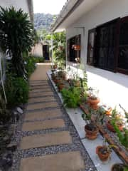 Garden between guest house and main house.