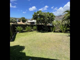 Our front yard.