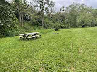 my daughter's valley and woods- totally private.  a Housesitter can walk and picnic here when the family are not