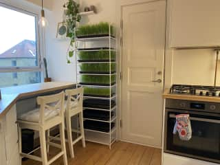 Kitchen sitting area