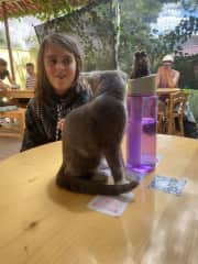 Visiting a cat cafe in Oaxaca Mexico in 2023 because we missed being around our kitties!