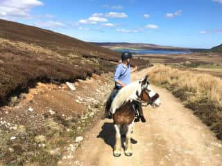 Constance is my riding horse.  We like to get out into the hills, long distance riding.