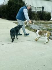 Clients dogs