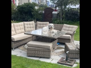 New Garden furniture bought last year, it's very comfortable.  Cassie on the table, showing us who is boss.  She loves to find a ray of sunshine and lies in it wherever it lands