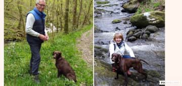 Ruby the Pointer in Wales, with me and with Pam