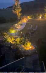 Garden at night