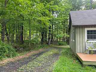 Woods