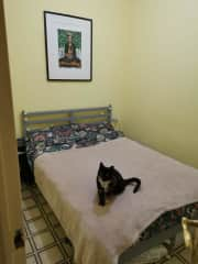 Main bedroom - with cameo of Lottie