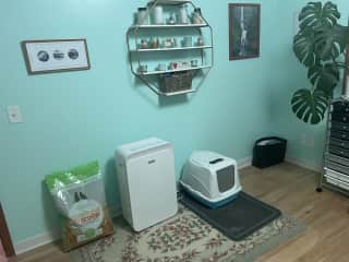 office & craft/cat room